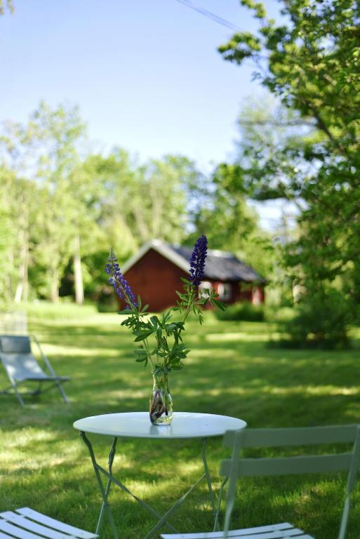Zahrada ubytování Nordic Refuge B&B