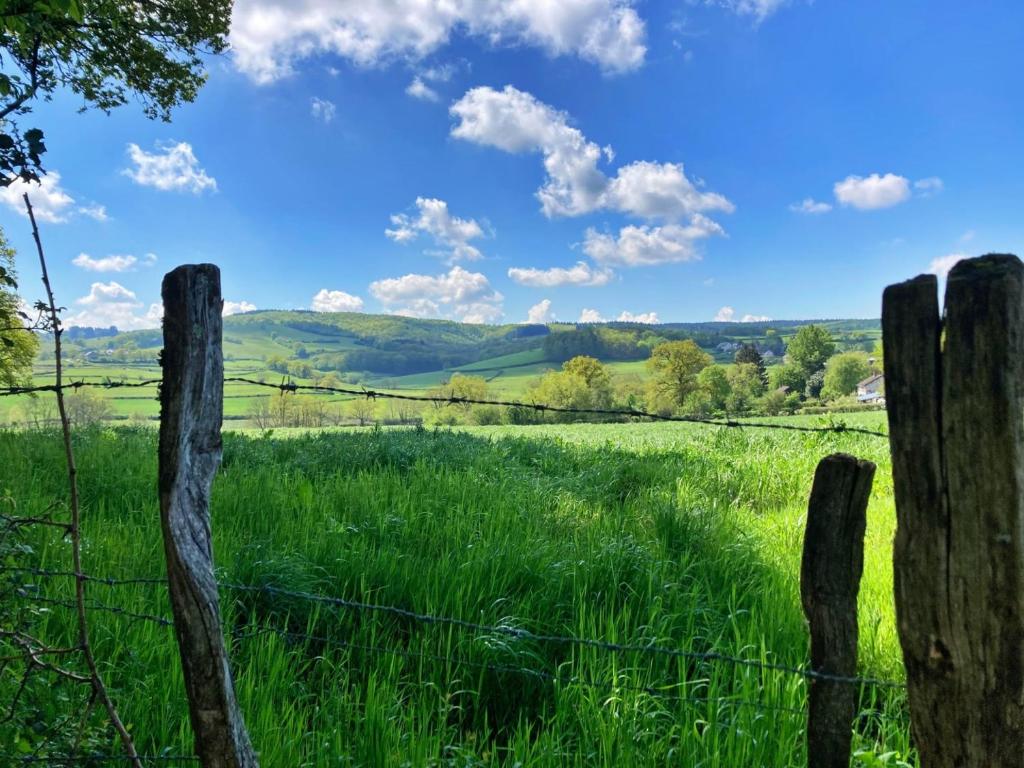 Príroda v okolí dovolenkového domu