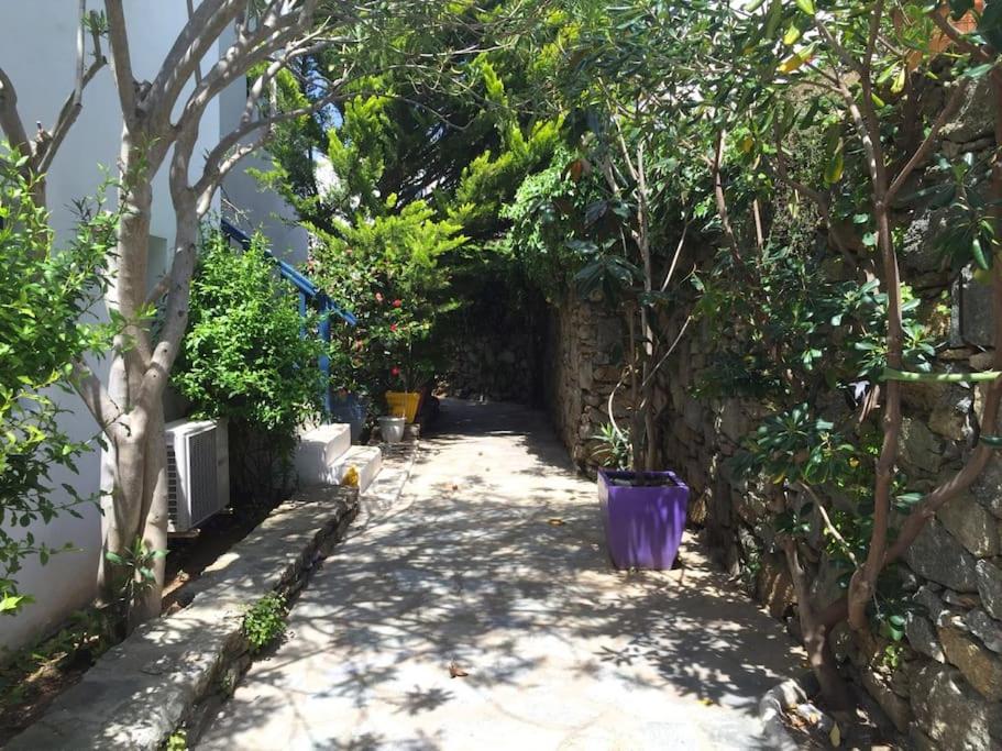 Vonkajšia záhrada v ubytovaní Beautiful, sunny apartment in Mykonos Town