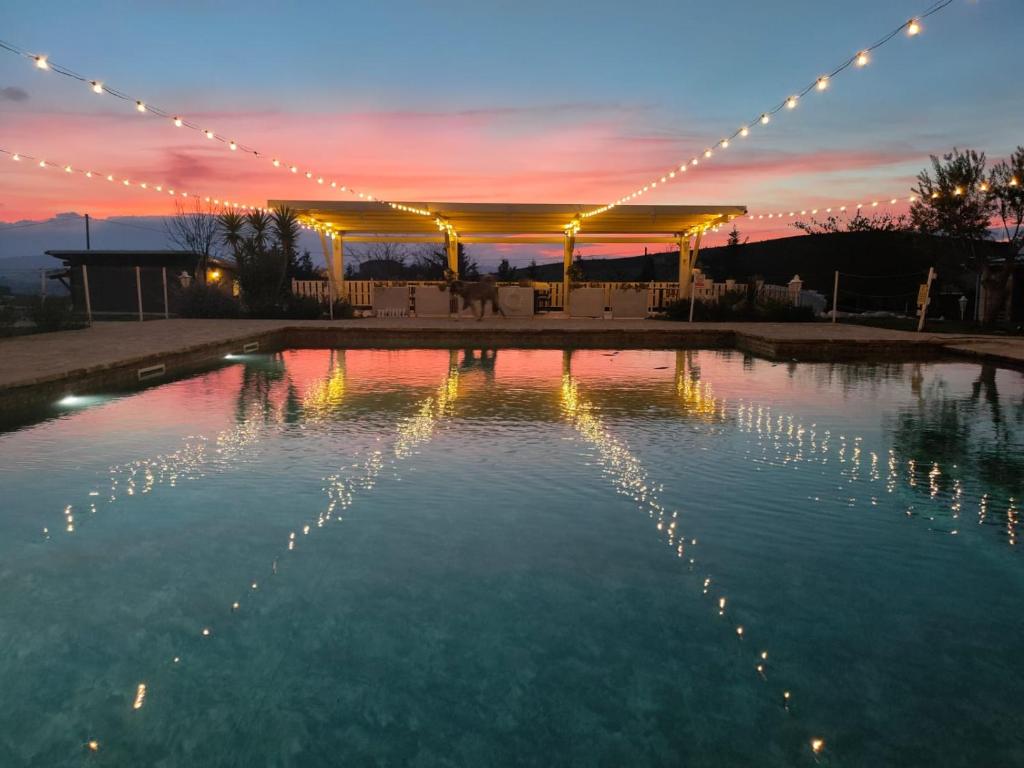 a pool of water with a tent and lights at La Collina dei Cavalieri in Belvedere Ostrense