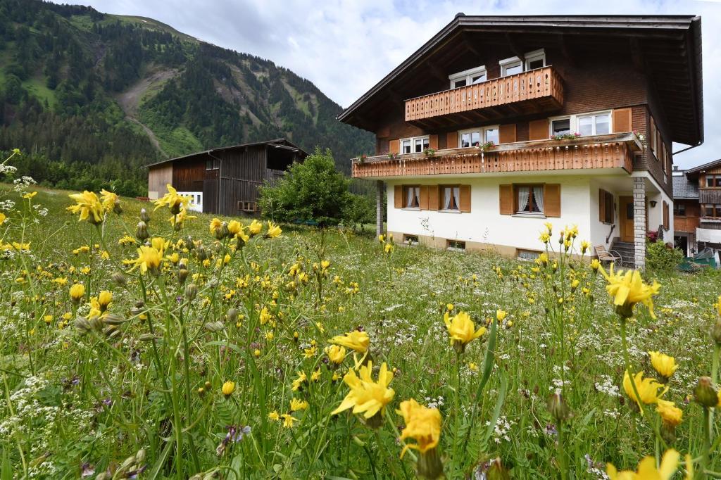 a field of yellow flowers in front of a building at Appartements Willi in Schoppernau