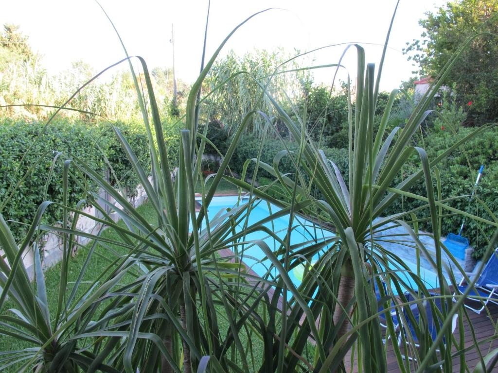 The swimming pool at or close to Villa Le Lanterne Pool & Relax