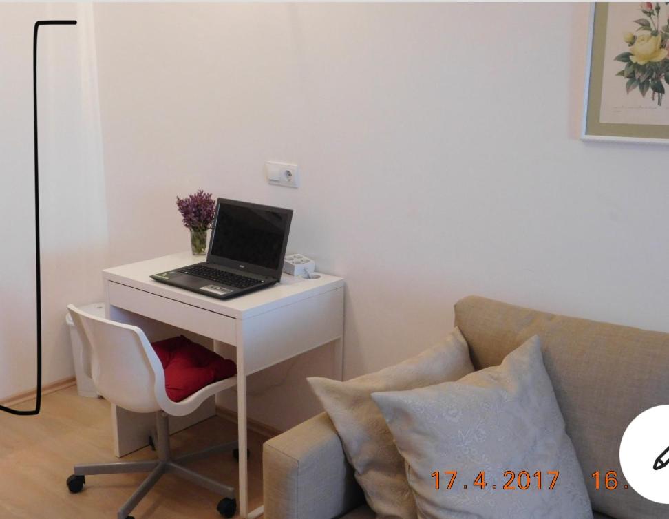 TV a/nebo společenská místnost v ubytování Apartmani ljuta naranča