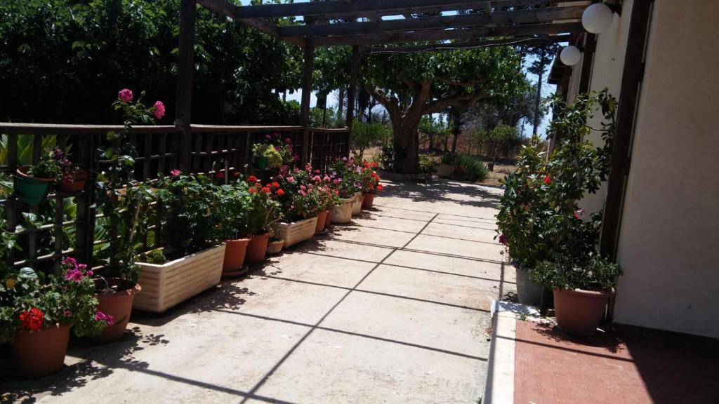 A garden outside Il gazebo