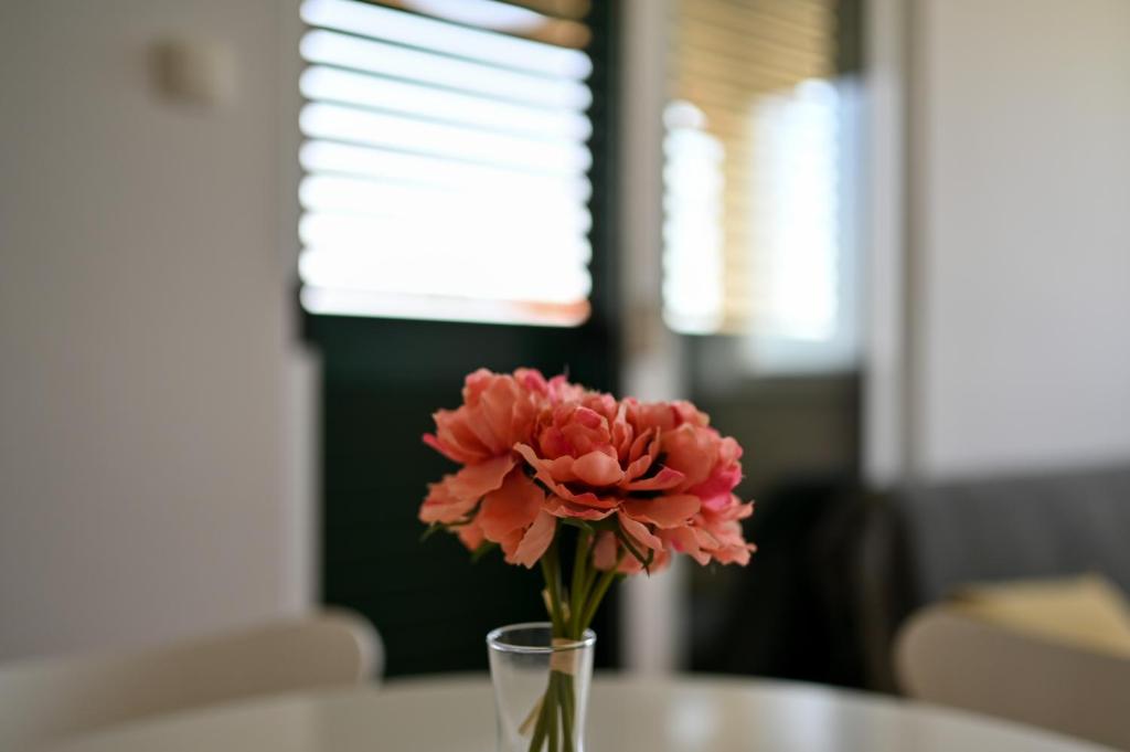 Fotografie z fotogalerie ubytování Apartmani Frleta v destinaci Bibinje