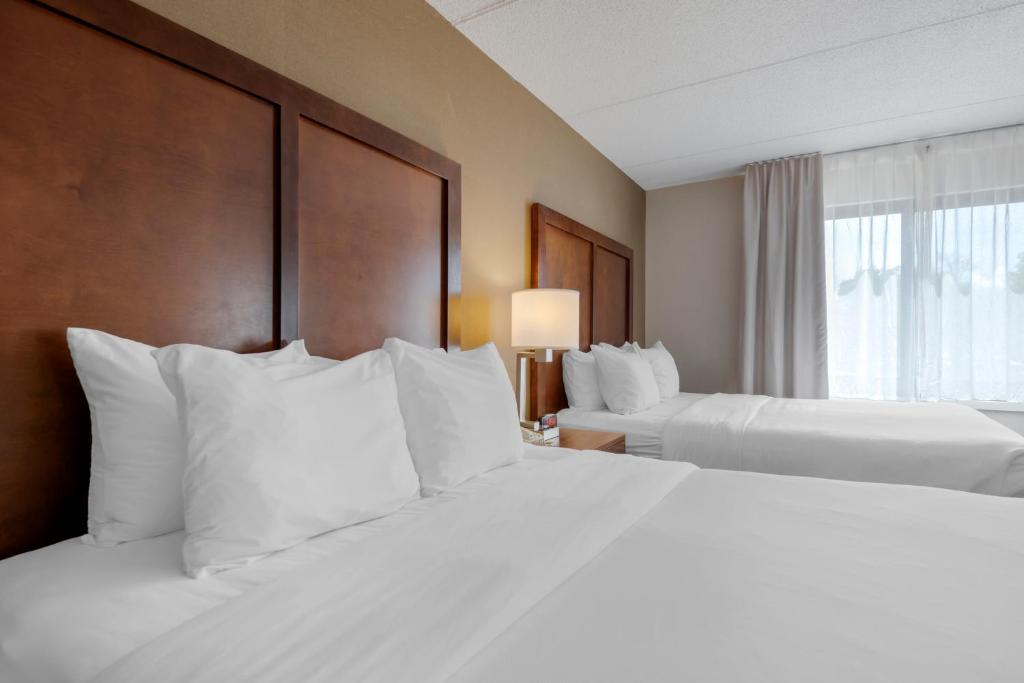 Comfort Inn The Pointe - Suite Con Due Letti Queen Upgrade - Accessibile