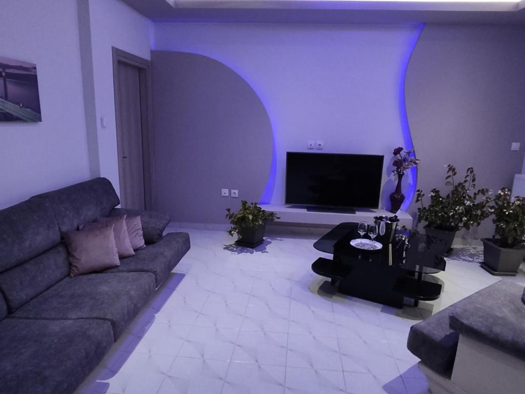 House Ritsa في نيا موذانيا: غرفة معيشة مع أريكة وتلفزيون بشاشة مسطحة