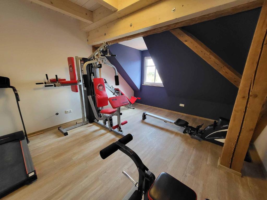 Fitness centrum a/nebo fitness zařízení v ubytování Ferienhof Gutmichel