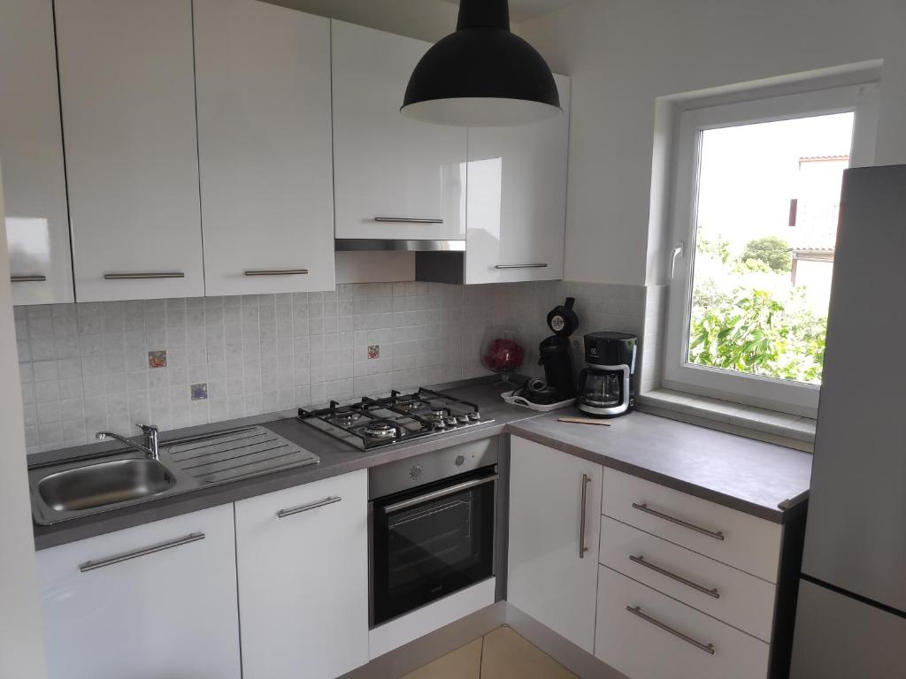 Kuchyň nebo kuchyňský kout v ubytování Apartman Ema