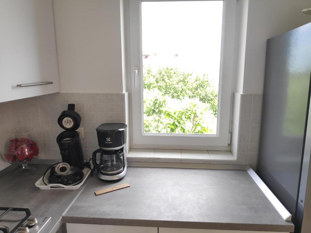 Kuchyň nebo kuchyňský kout v ubytování Apartman Ema