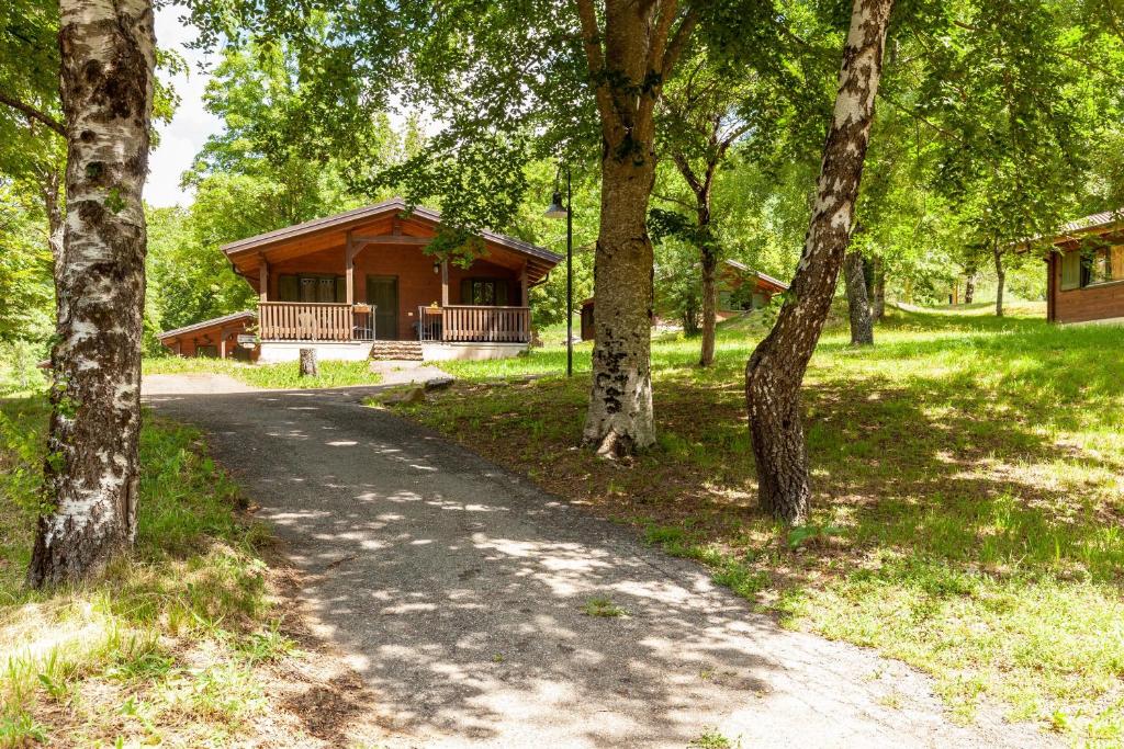 een pad dat leidt naar een hut in het bos bij Villaggio Anemone Chalet Fragolina in Capanne di Sillano