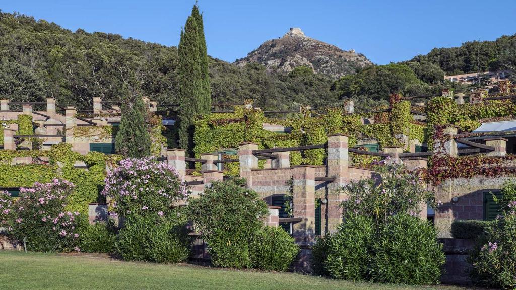 ein Gebäude voller Efeu mit Bäumen und Sträuchern in der Unterkunft Sant'Anna del Volterraio - I Lecci in Portoferraio