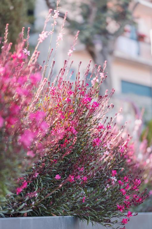 A garden outside The View Luxury Apartments Taormina