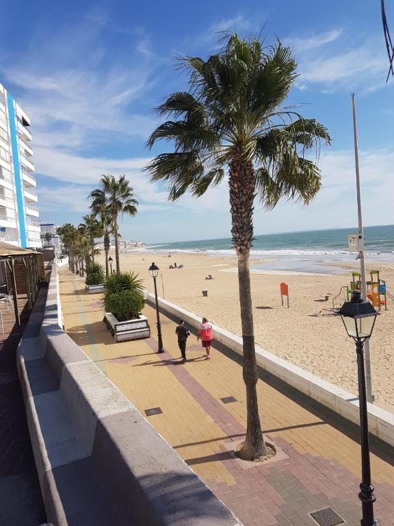 palma na chodniku obok plaży w obiekcie La Costilla centro y playa w mieście Rota