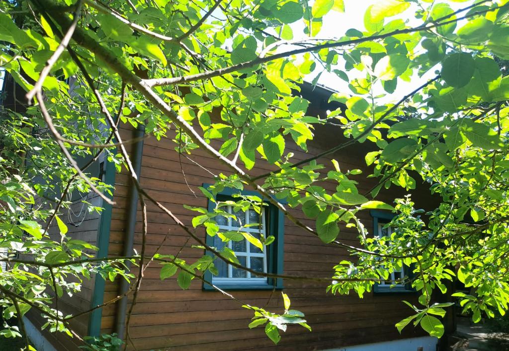 Vonkajšia záhrada v ubytovaní Ferienhaus Himmelreich
