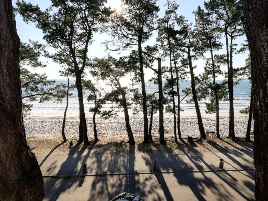 un groupe d'arbres sur une plage de sable avec l'océan dans l'établissement FACE A LA MER, à Fouesnant
