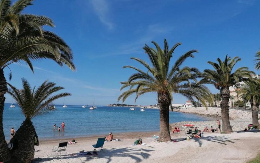 La gente en una playa con palmeras y agua en Charmant studio climatisé pinède 1 min de la mer, en Sanary-sur-Mer