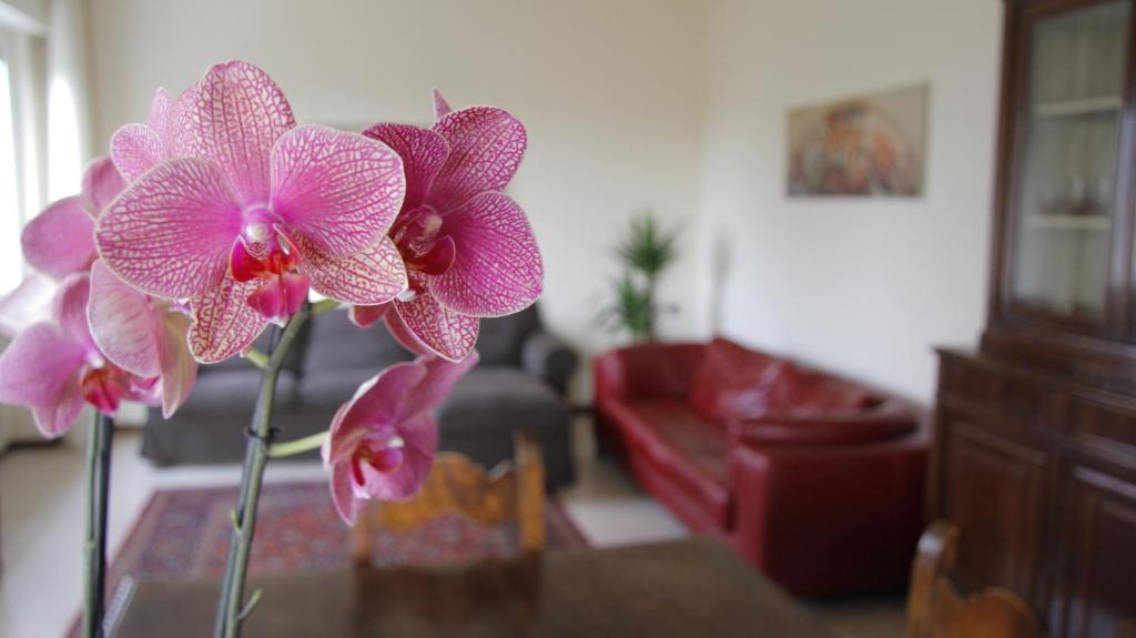 Orquídeas de twoidio sentadas en una mesa en una sala de estar en Casa Farinati, en Verona