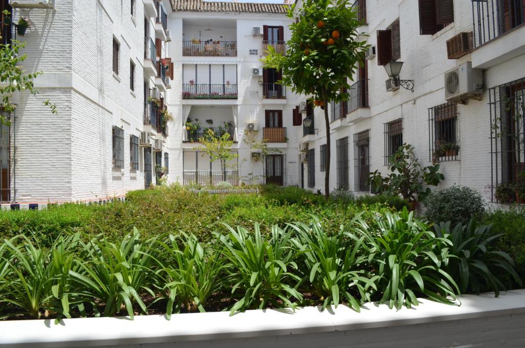 Fotografia z galérie ubytovania La Casa de José Manuel v destinácii Seville