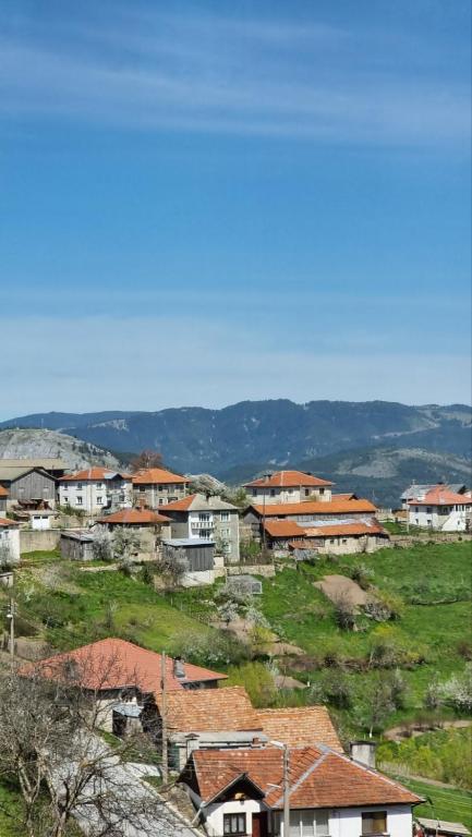 un grupo de casas en una colina en una ciudad en Родопска къща за гости с.ЧАЛА en Chala