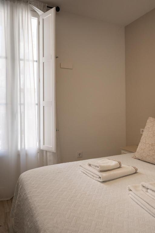 Posteľ alebo postele v izbe v ubytovaní Apartamento Entrecatedrales