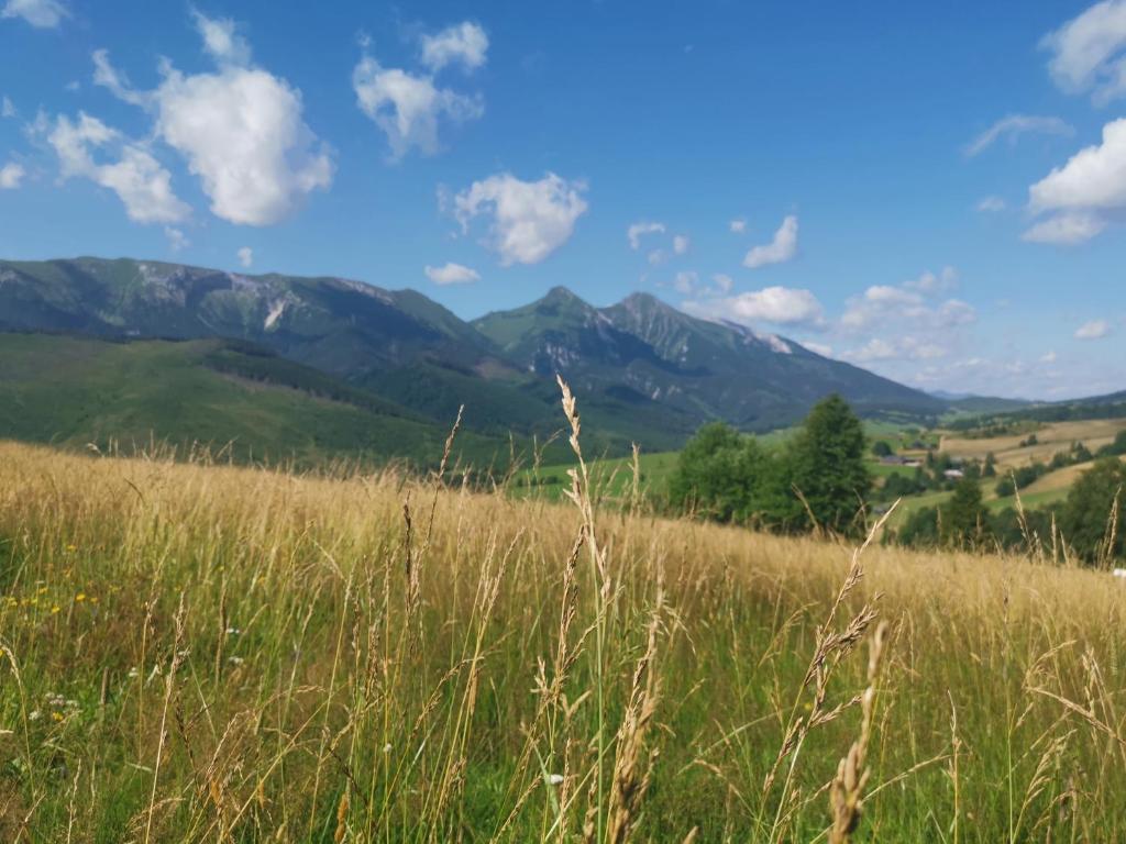 Táj az apartmanház közelében