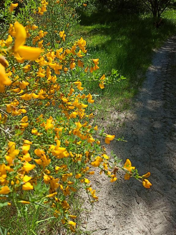 Fotografie z fotogalerie ubytování Anna v destinaci Czarny Młyn