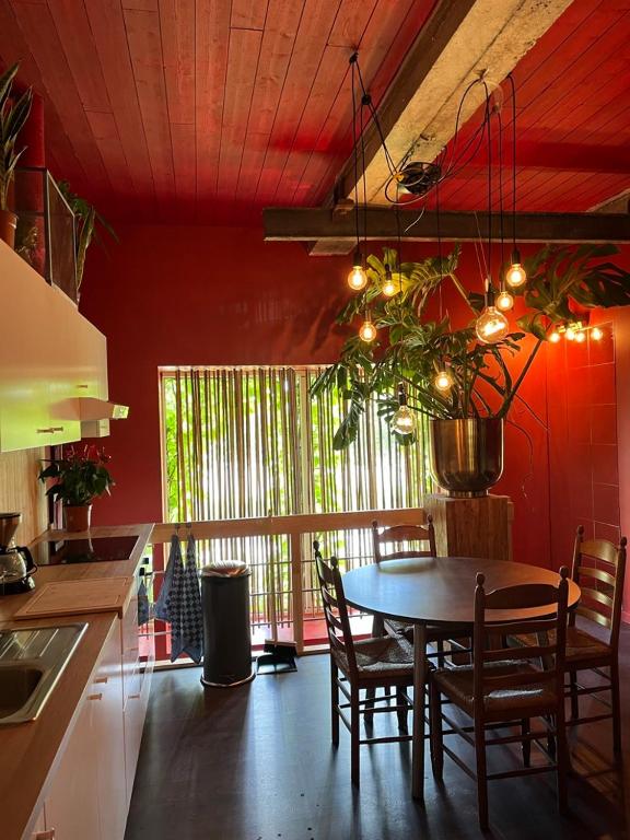 Kuchyň nebo kuchyňský kout v ubytování Plantkot -Boekenkot -Kunstkot en love kot