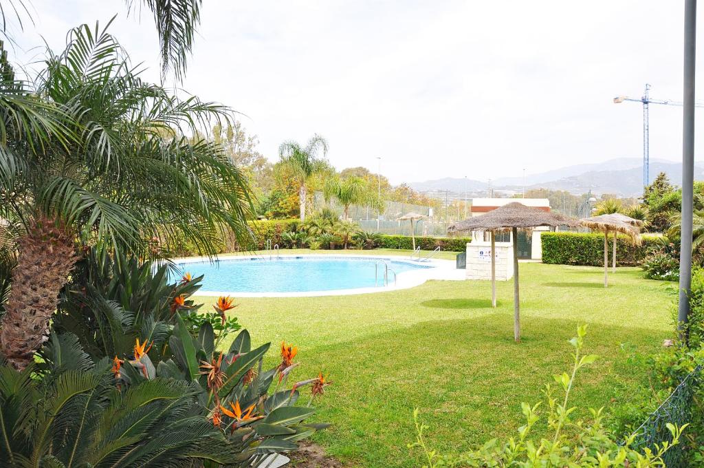 einen Pool in einem Garten mit Bäumen und Pflanzen in der Unterkunft Piso Algarrobo Beach in Algarrobo-Costa