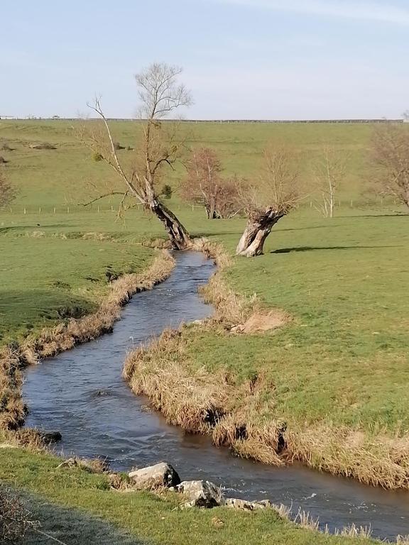 un ruisseau au milieu d'un champ dans l'établissement Gite Fée Grenouille, à Martigny-le-Comte