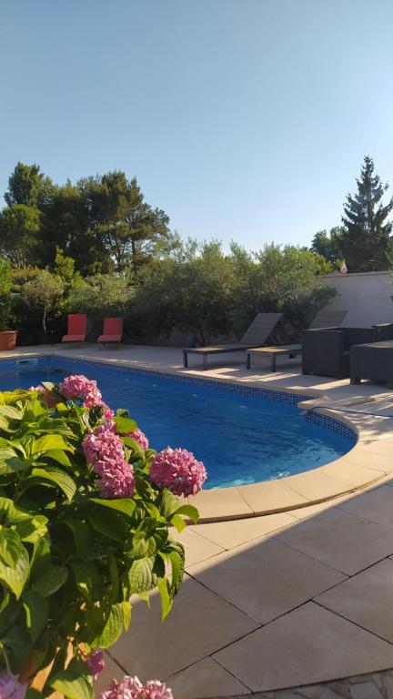 uma piscina com flores rosas em frente em Gite chaleureux pour deux avec jacuzzi ou piscine selon dates em Graveson