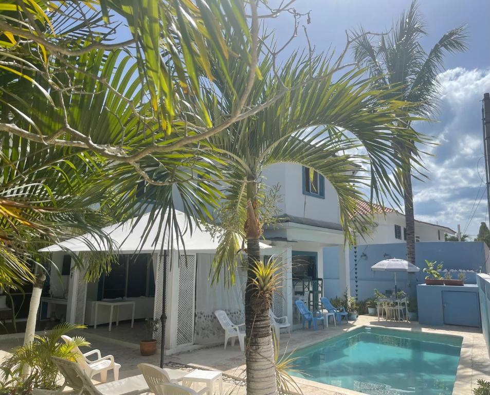 una palmera frente a una casa con piscina en B&B Villa Luna en Bayahibe