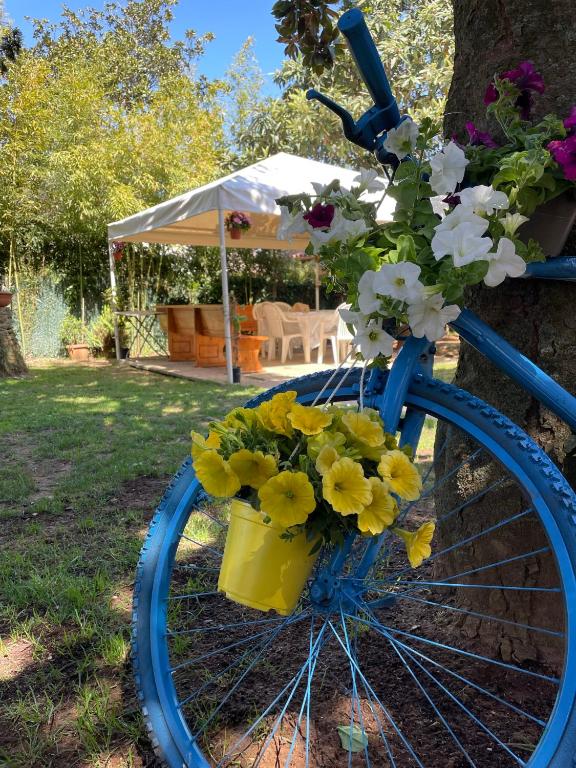 Appartamento in Villa con giardino vicino al mare - Apartamento De Estúdio