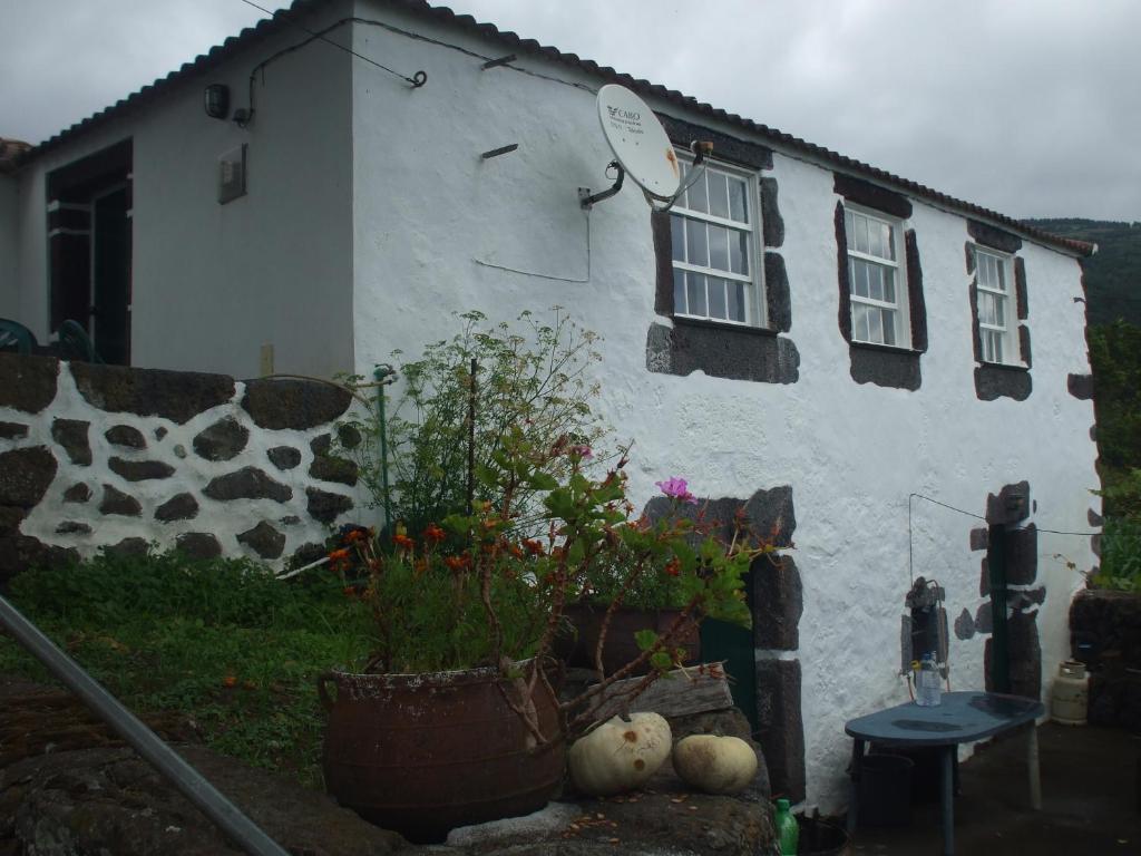 una casa blanca con una planta delante en Adega do Batista en Calheta