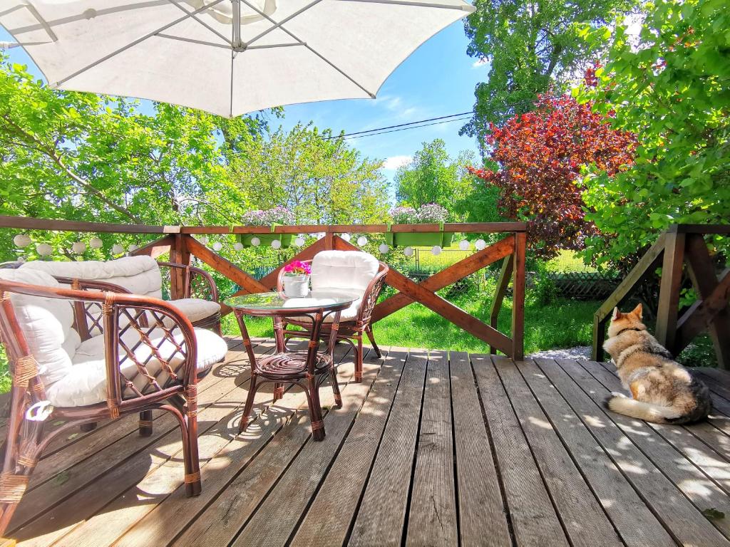 a dog sitting on a wooden deck with an umbrella at Leszczynowy Sad - apartament z kominkiem i ogrodem in Wydminy