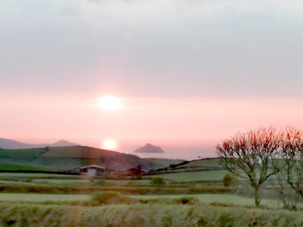 una puesta de sol sobre un campo con un árbol en primer plano en Trevose, sea views, en Port Isaac