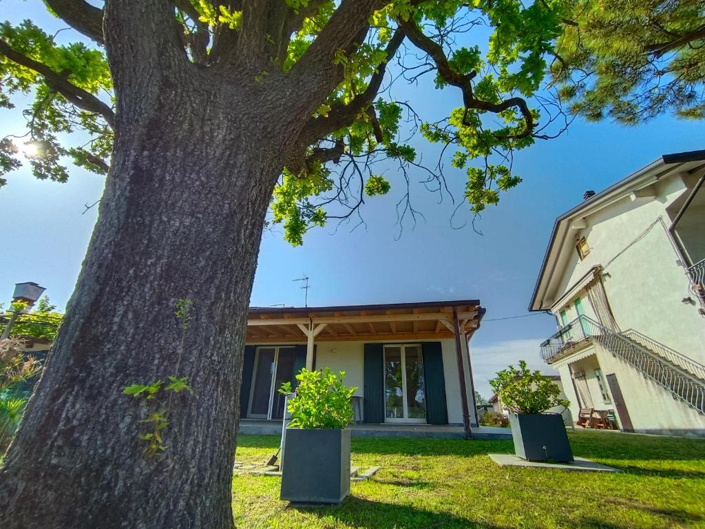 ein Baum vor einem Haus in der Unterkunft La Quercia in Cavallino-Treporti