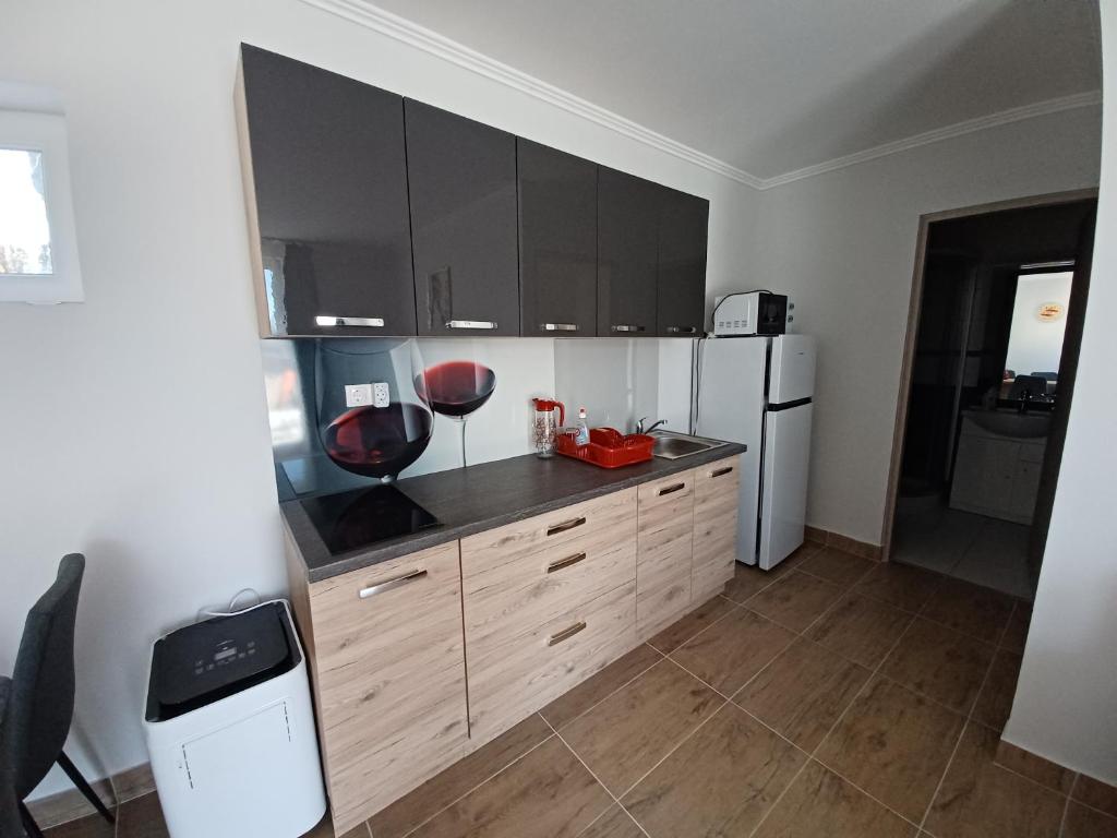 Kuchyň nebo kuchyňský kout v ubytování To8 apartman