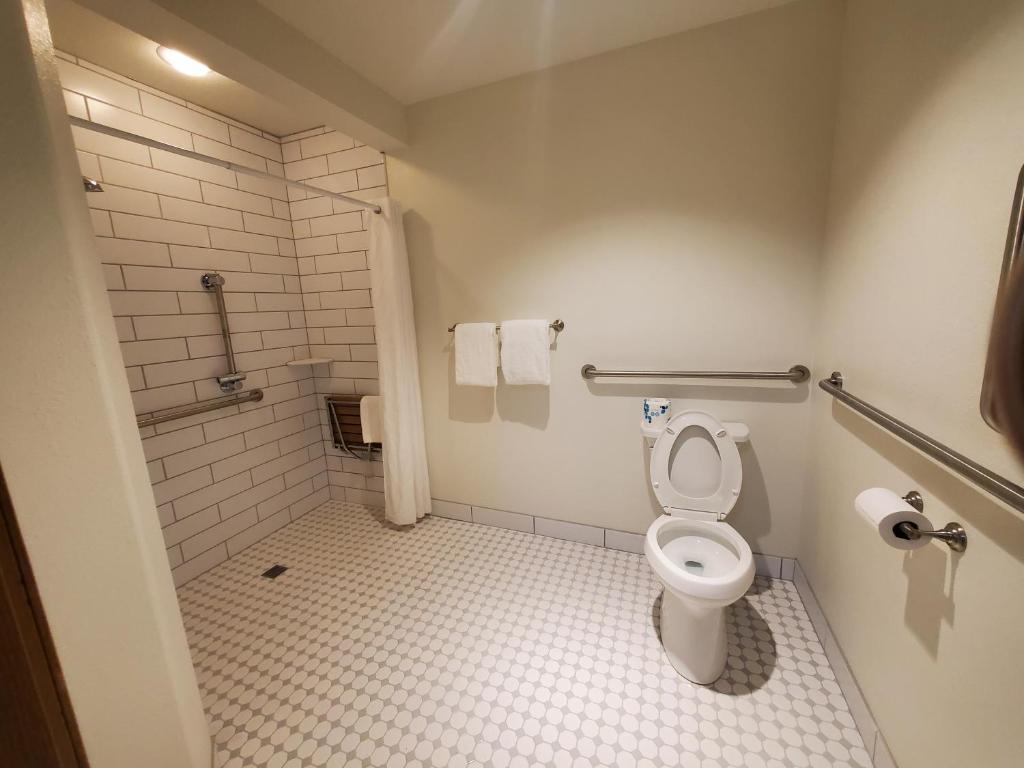 a bathroom with a toilet and a shower at Alpine Inn in Pagosa Springs