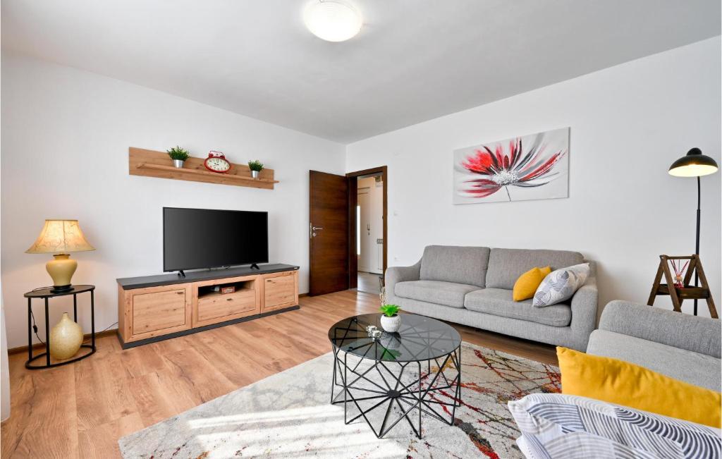salon z kanapą i telewizorem z płaskim ekranem w obiekcie 2 Bedroom Beautiful Home In Trnovec w mieście Trnovec