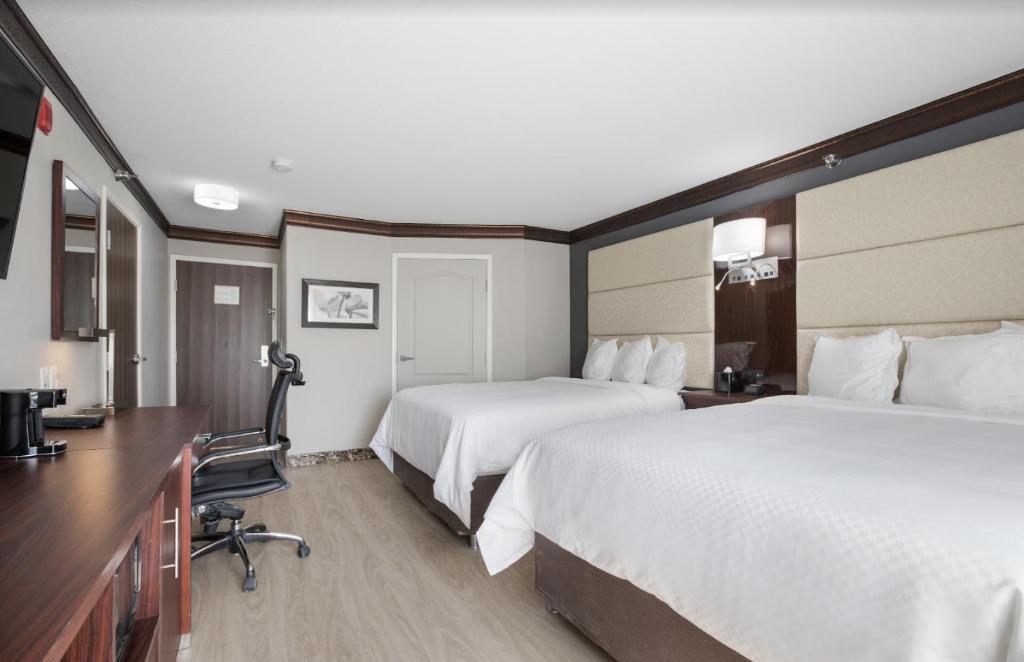The Leo Collection Detroit, Ascend Hotel Collection - 标准的大号床，有两张大床 - 不吸烟