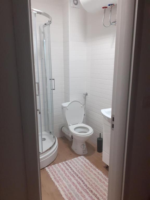 Un baño de Apartman Anđela i Aleksa Divčibare