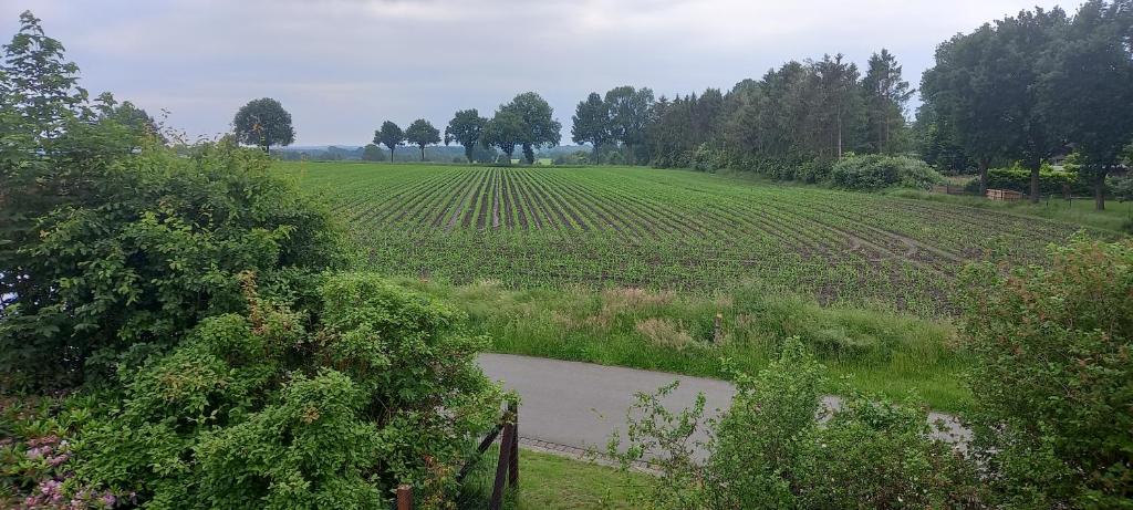 une vue sur un champ avec une clôture et une route dans l'établissement zum Kranichblick, à Glinstedt