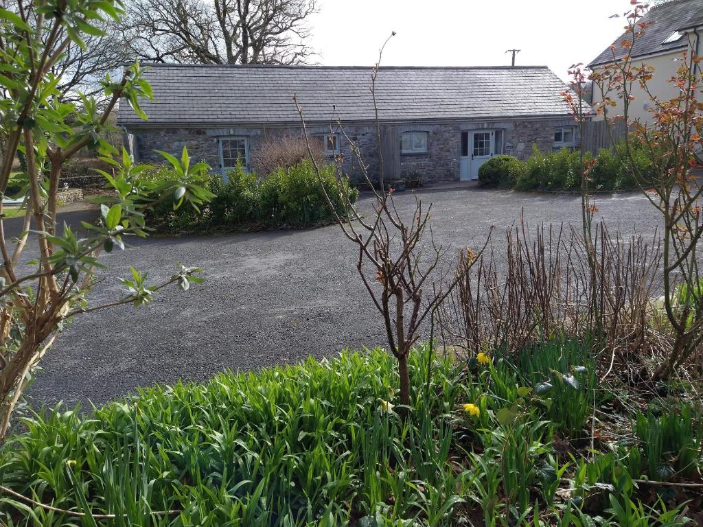 una casa con muchas plantas delante de ella en Carreg Cennen Cottage en Carmarthen