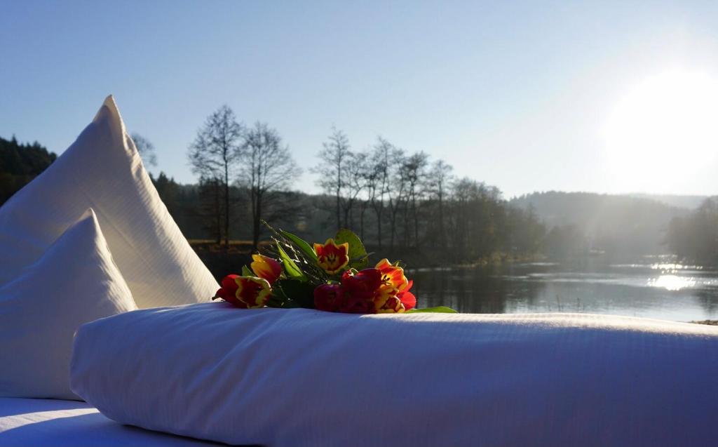 Příroda nedaleko hotelu