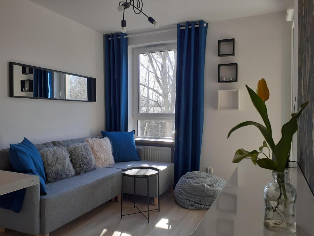 a living room with a blue couch and a window at Komfortowy apartament z balkonem i parkingiem in Wrocław