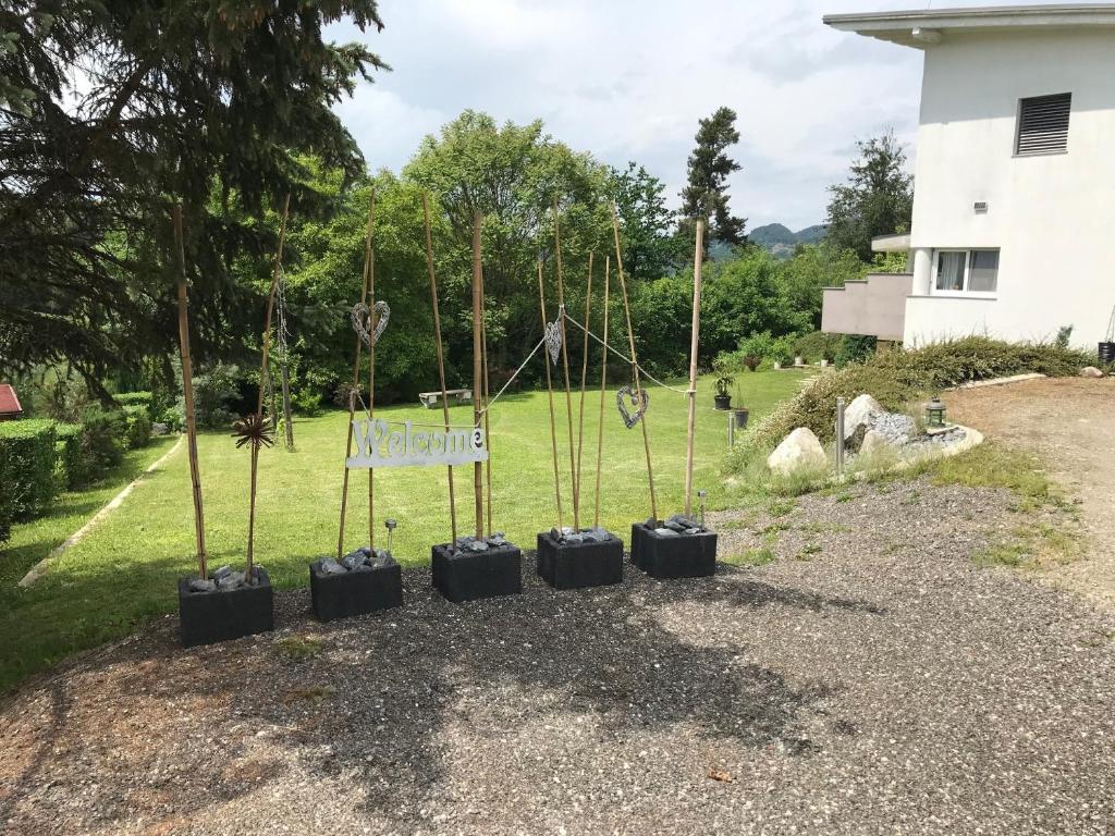 A garden outside Apartment SeeYou