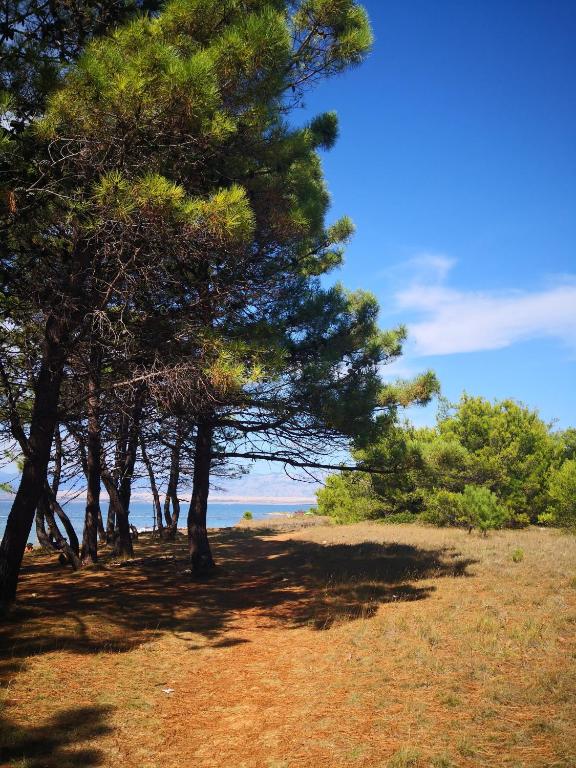 Príroda v okolí apartmánu