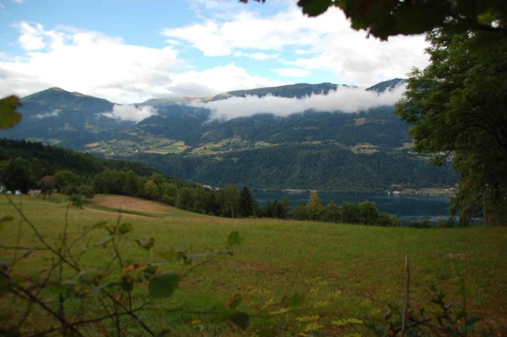 un campo verde con vista su un lago e sulle montagne di Mentebauer Traudi's Ferienhof a Rothenthurn