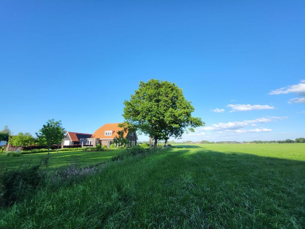 Ein Baum mitten auf einem Feld mit einem Haus in der Unterkunft Bed & Breakfast de Vink in Terschuur